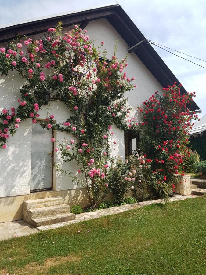 Apartmán Apartman Ivano Gospić Exteriér fotografie